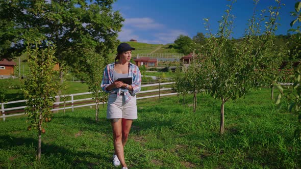 Woman Agronomist with Tablet Computer in the Orchard