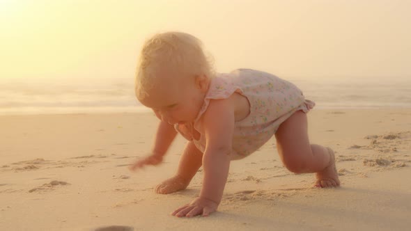 Healthy Caucasian Baby Toddler Crawling on Beach to Learn to Crawl Outdoors Near Sea Ocean Tropical