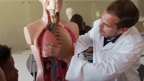 Male teacher teaching human anatomy in the class