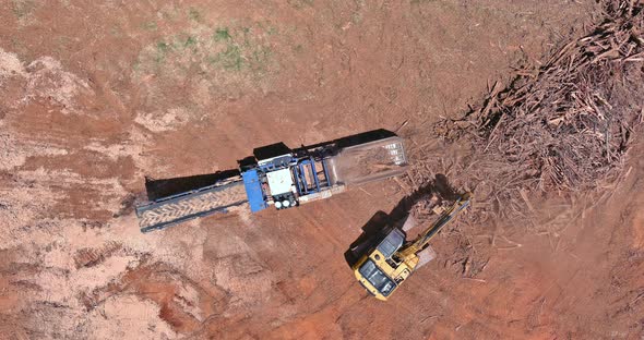 Roots Crush Branches with a Chipper Shredder or Wood Chipper Machine