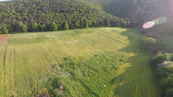 Aerial Farmland Agriculture