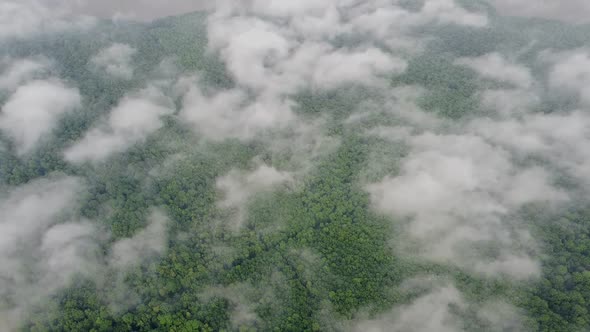 Clouds flying over dense forests, video from a quadcopter above the clouds.