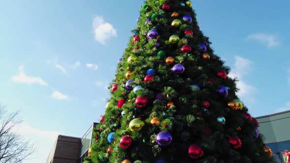 Christmas Tree and Large Tower.