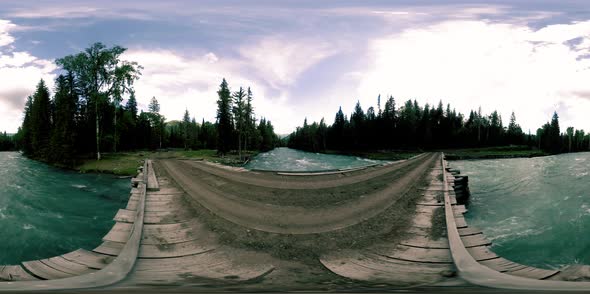 360 VR Virtual Reality of a Wild Forest. Pine Forest, Small Fast, Cold Mountain River. National Park