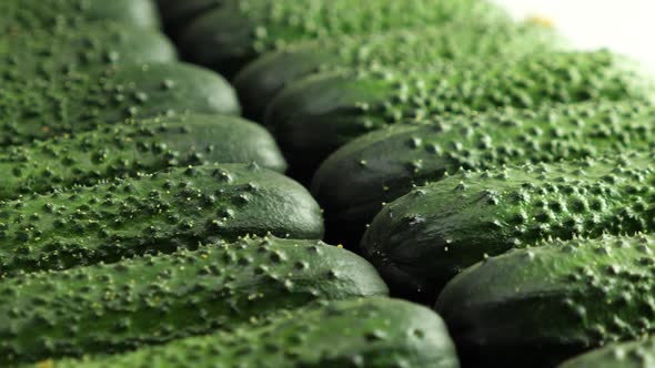 A Lot of Cucumbers. Rotating Vegetables