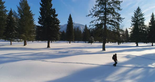 Hiker Walking on A Snowy Landscape 4k
