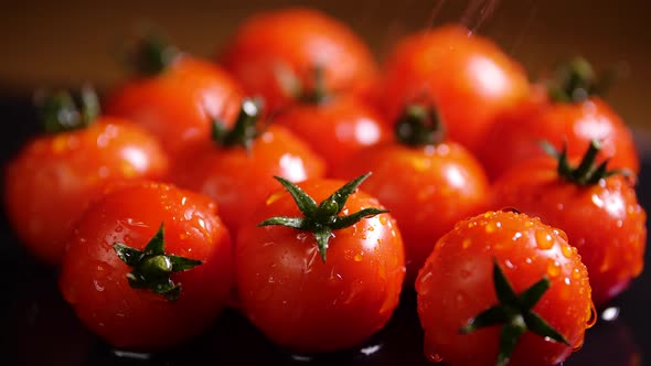 Red Tomatoes With Drops of Water, Macro Video, Organic Vegetables Food, Organic Harvest in Garden