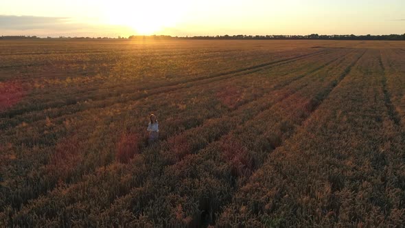 Aerial View Woman Walks Among a Wheat Field at Sunset or Sunrise Drone Shot