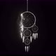 Dreamcatcher Disappears 3d Illustration Render - VideoHive Item for Sale
