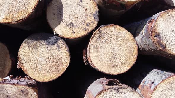 Timber Stacks at Bonny Glen in County Donegal - Ireland