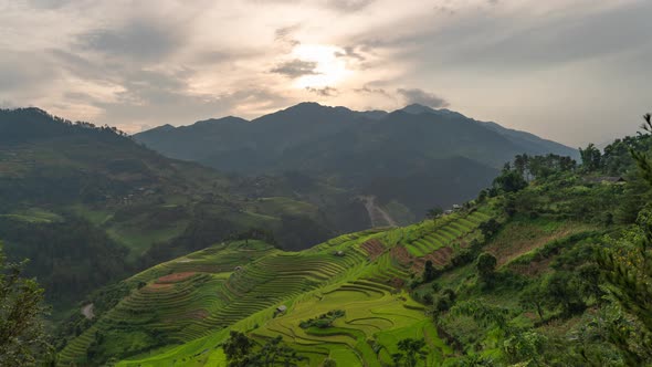Time lapse of paddy rice terraces, green agricultural fields in Vietnam.