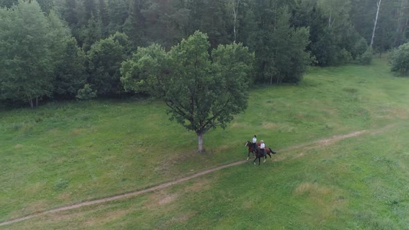 Summertime Outdoor Recreation Man Cowboy and a Woman Riding a Horse in a Clearing Near the Forest