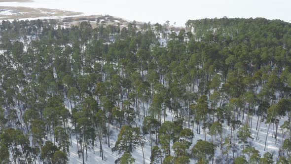 Winter Forest And Lake Against The Background Of Mountains Aerial Photography