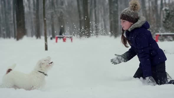 Child Plays with Litle Dog in the Winter in the Park Tosses Snow Up. Throws Snowflakes and Smiles in