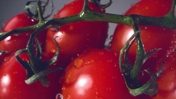Camera follows pansy flowers falling on water surface. Slow Motion. alt