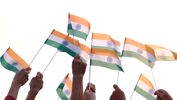 People Holding Indian Flags