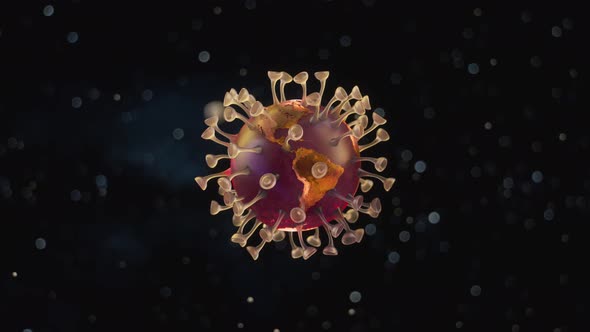 Coronavirus of Planet