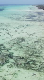 Tanzania  Vertical Video of Low Tide in the Ocean Near the Coast of Zanzibar Slow Motion