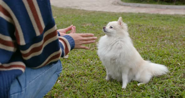 Woman Play with Her Dog at Park