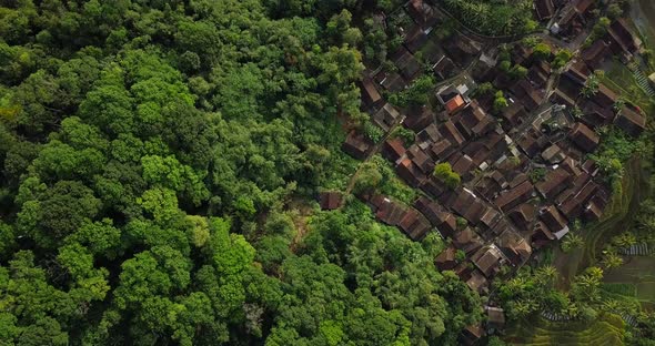 Aerial top down of rural forest and plantation fields in near of small indonesian village