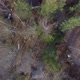 Aerial Footage Over Trees and Lake Scandinavian - VideoHive Item for Sale