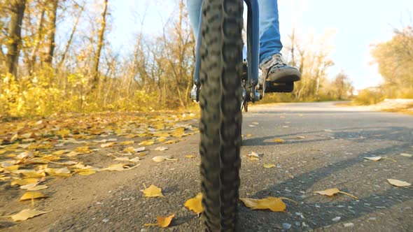 Child Travels with a Bicycle in the Park. Young Girl Walks. A Young Girl Walks Along the Road