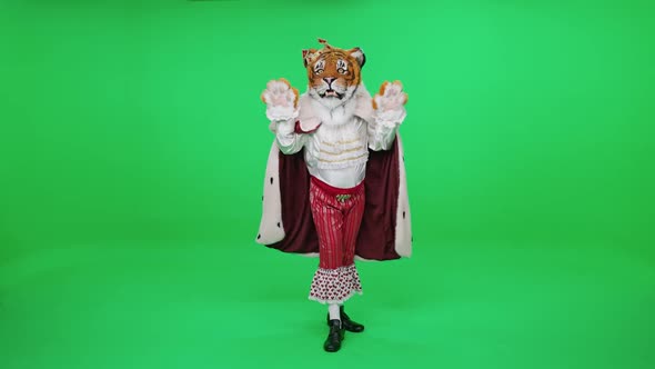 Fabulous Character in Slow Motion Tiger Moves Gracefully and Performs Tricks on a Green Background