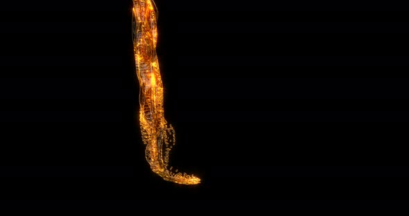 Alcohol Beer Pouring Isolated on Black Background