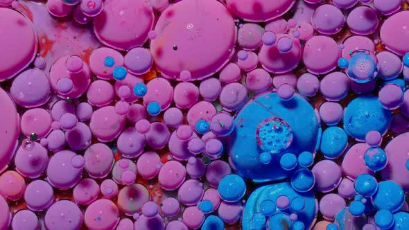 Macro Structure of Multicolored Water Paint Oil Bubbles Movement Bright Colorful Acrylic Painting