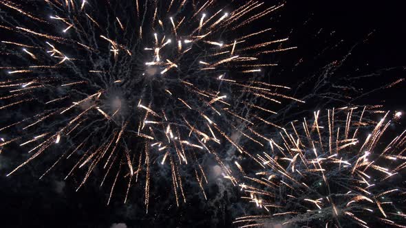 Colorful Fireworks on the Night Sky Background