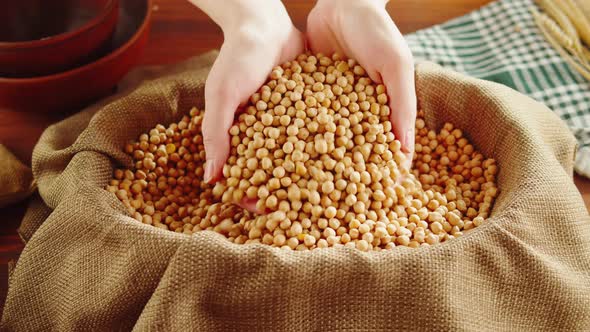 Grocery Taking Chickpeas Closeup