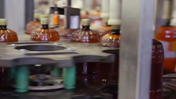 Beer in Brown Plastic Bottles on the Conveyor