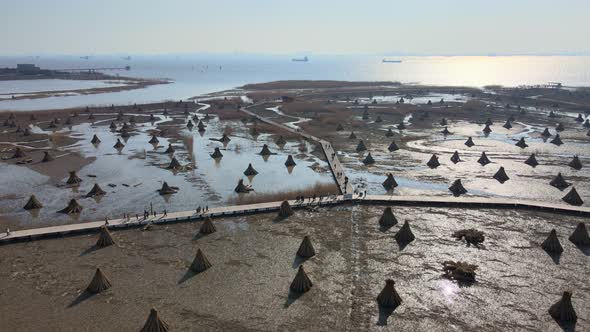 Wetland Park in China