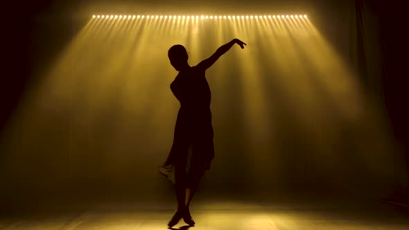 Professional Ballerina Dancing Ballet in Spotlights and Smoke on Stage. Silhouette of a Beautiful