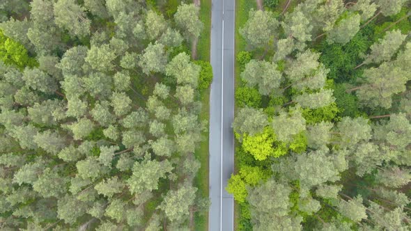 Aerial View of Asphalt Road with Green Forest on Both Sides. Drone Moves Along Highway in Rural Area