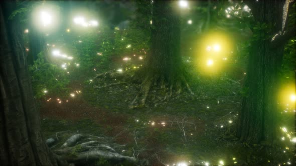 Firefly Flying in the Forest