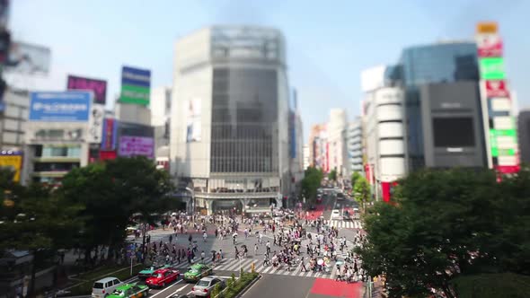 Shibuya Crossing In Tokyo Japan