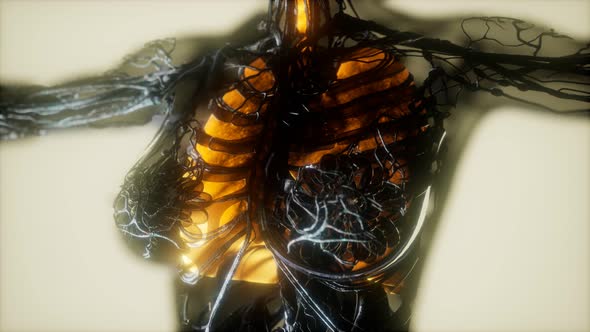 Human Body Scan with Glowing Lungs and Trachea alt