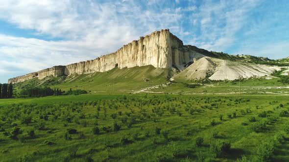 Wonderful Summer Landscape