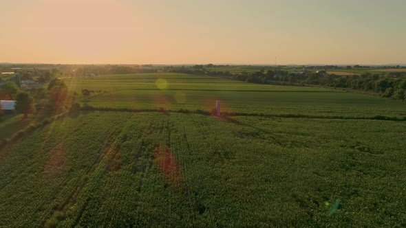 Aerial View of Corn and Other Field During Late Afternoon  Sun