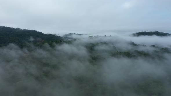 Drone shot flying through the mist and revealing a large tropical river that is covered by pebbles