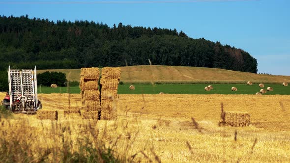 Farmers Harvest Grain From the Field (Farmer Loads Haystacks on the Tractor) - Sunny Day