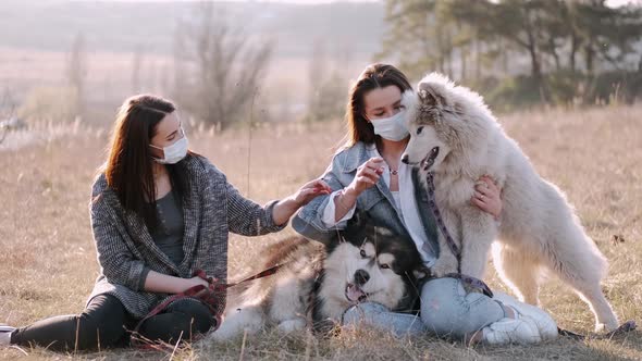 Pretty Young Girls Are Walking with Cute Dogs in the Field