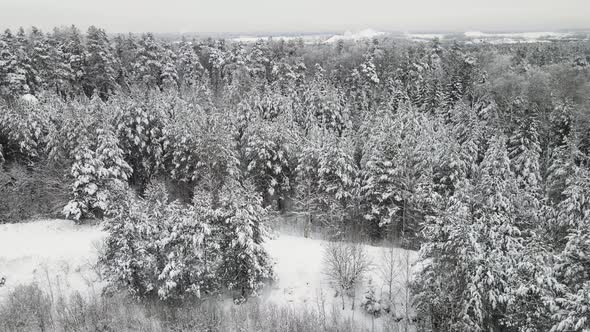 Spectacularly Snowcovered Forest in Cool Winter Weather Aerial View