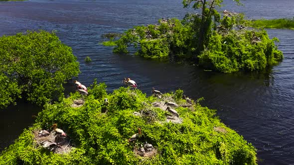 Kumana National Park with Lake and Birds