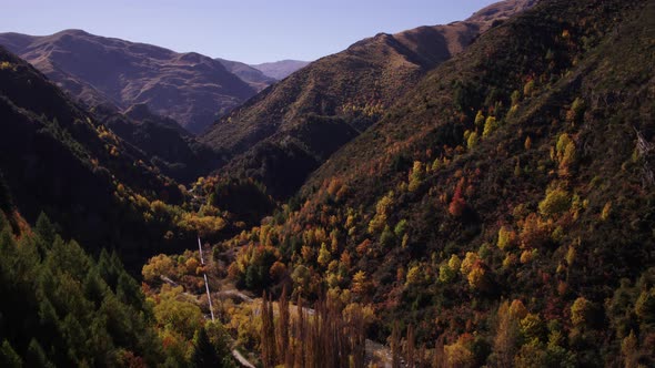 Autumn Colours in the Mountains