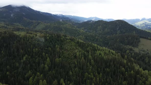 Ukraine, Carpathian Mountains: Beautiful Mountain Forest Landscape. Aerial