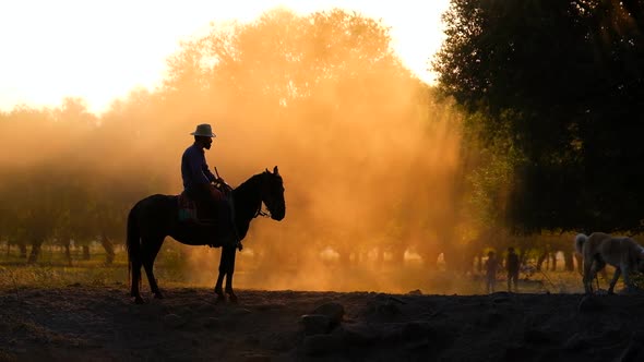 Cowboy At Sunset