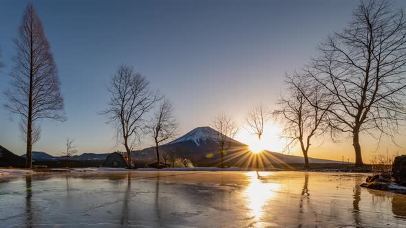 4K Timelapse of sunrise over Mountain Fuji at Fumotopara camping ground, Fujinomiya, Japan