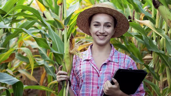 Female technologist agronomist on a tablet computer analyzes the yield of corn.